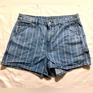 American Eagle Pin Stripe Short - Size 10